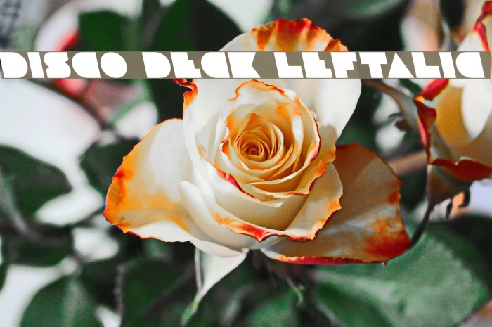 Disco Deck Leftalic Font examples