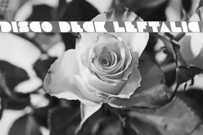 Disco Deck Leftalic Example 3