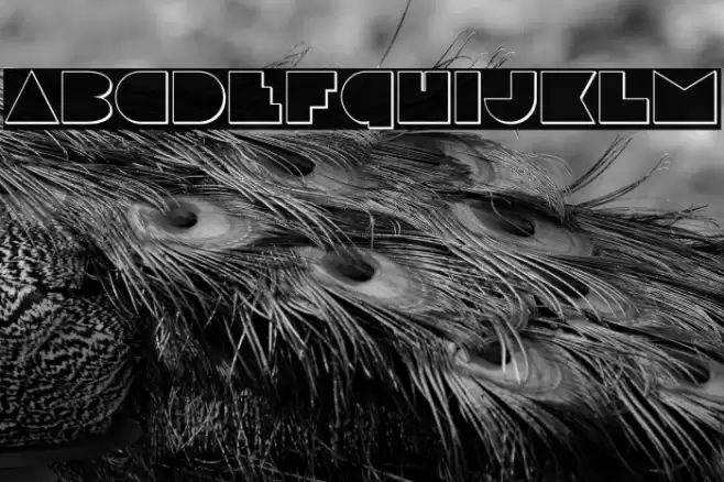 Disco Deck Outline Font examples