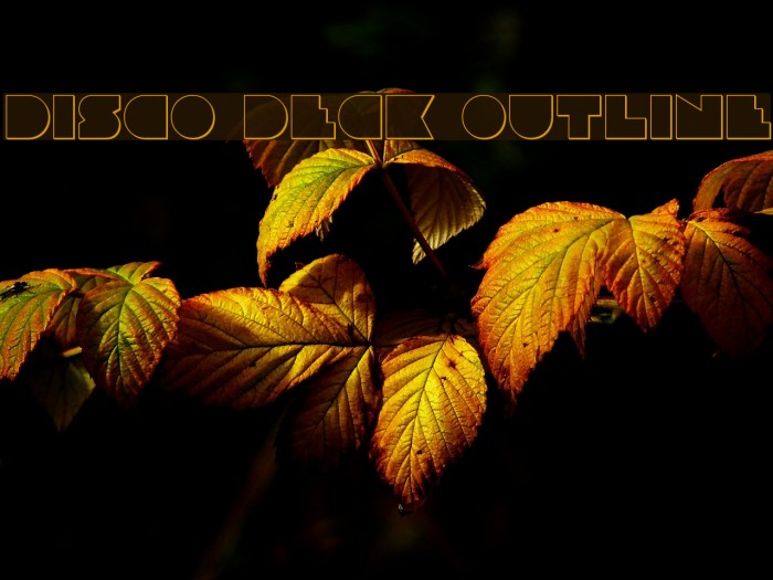 Disco Deck Outline Example 3