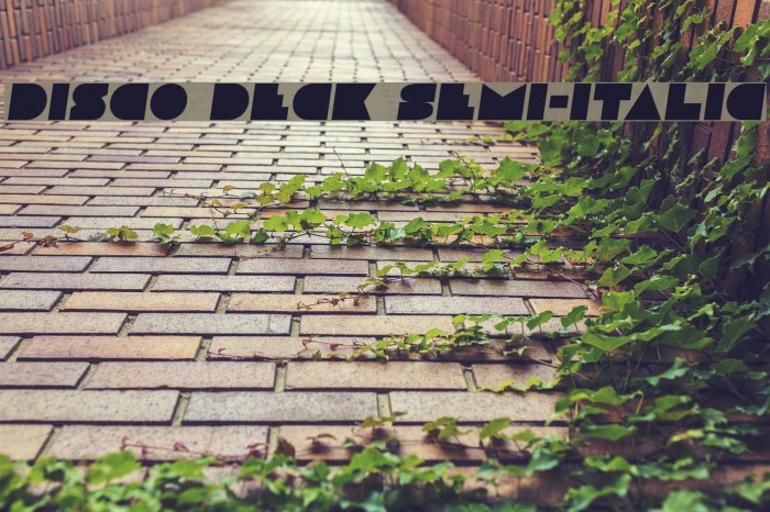 Disco Deck Semi-Italic Example 2