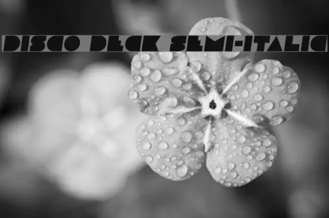 Disco Deck Semi-Italic Font examples