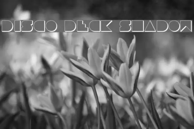Disco Deck Shadow Font examples
