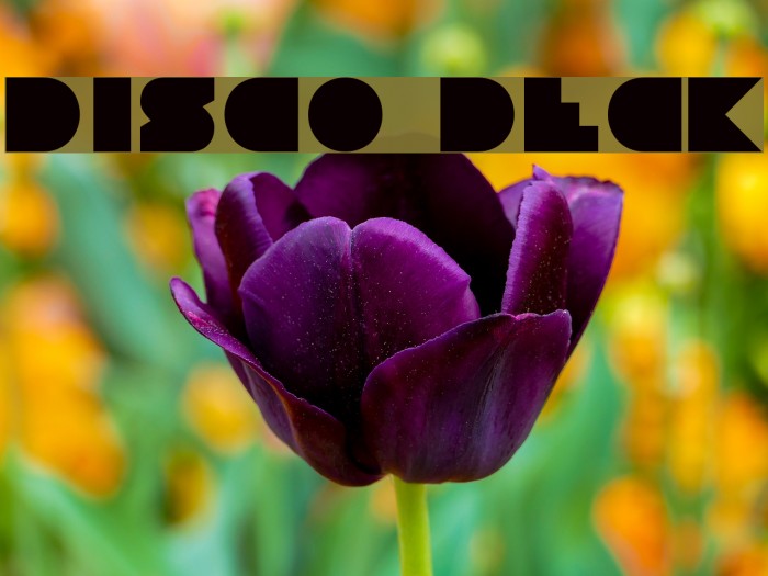 Disco Deck Font examples