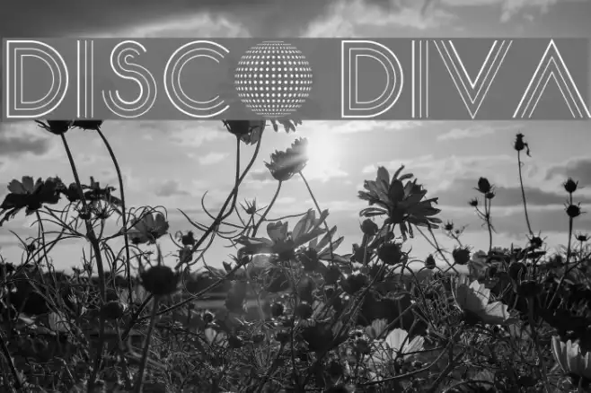 Disco Diva Example 2