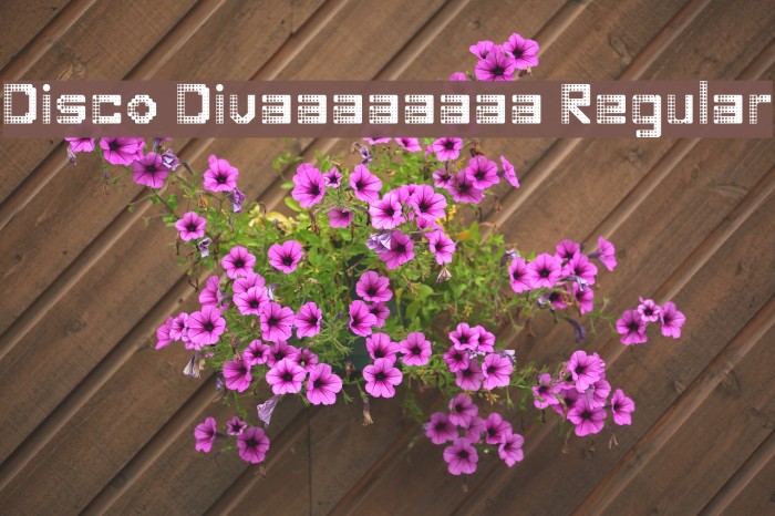 Disco Divaaaaaaaa Regular Font examples