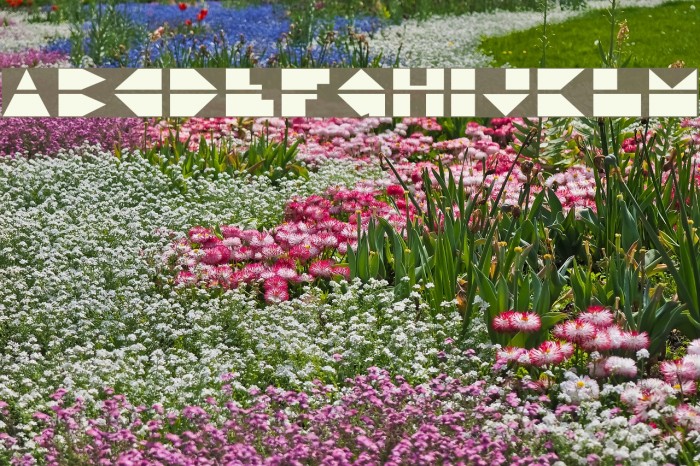 Disco Dork Font examples