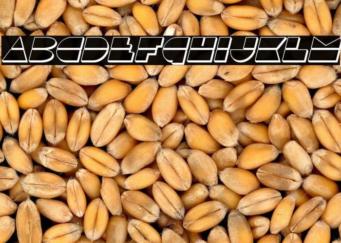 Disco Duck 3D Italic Example 1