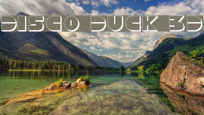 Disco Duck 3D Example 2