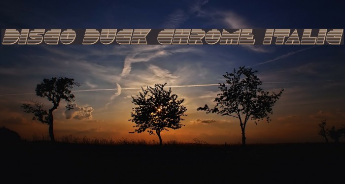 Disco Duck Chrome Italic Font examples