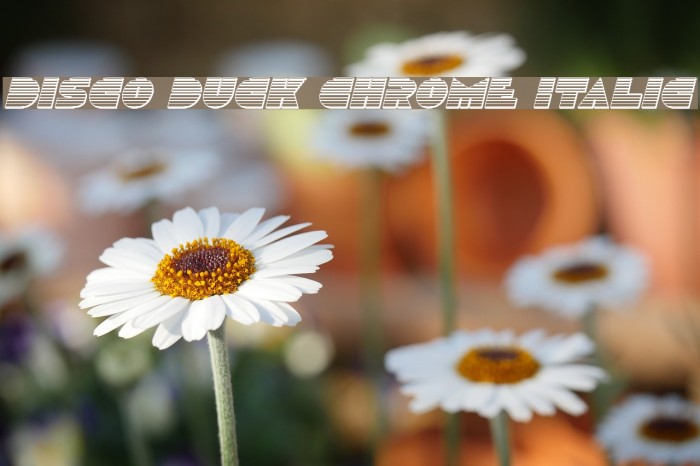 Disco Duck Chrome Italic Font examples