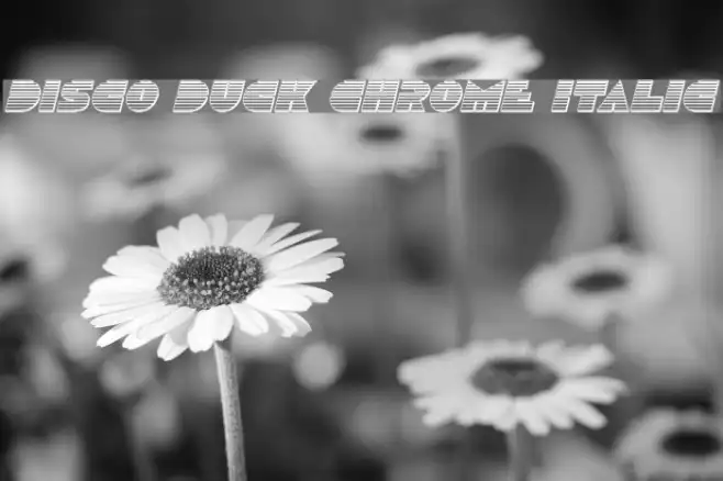 Disco Duck Chrome Italic Example 2