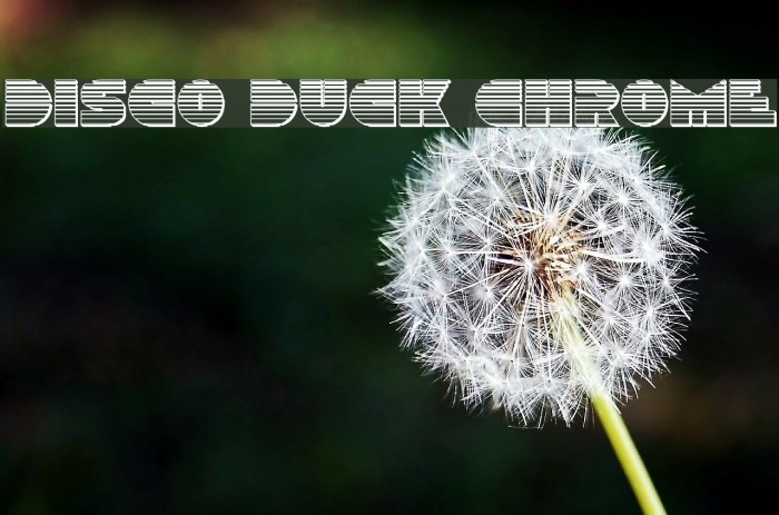 Disco Duck Chrome Font examples