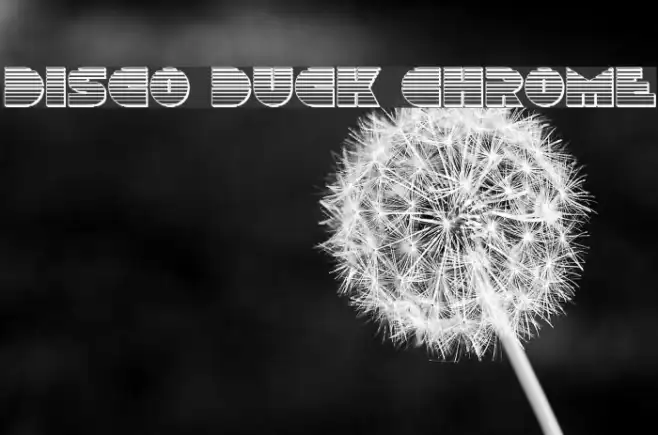 Disco Duck Chrome Example 2