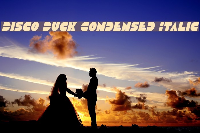 Disco Duck Condensed Italic Font examples