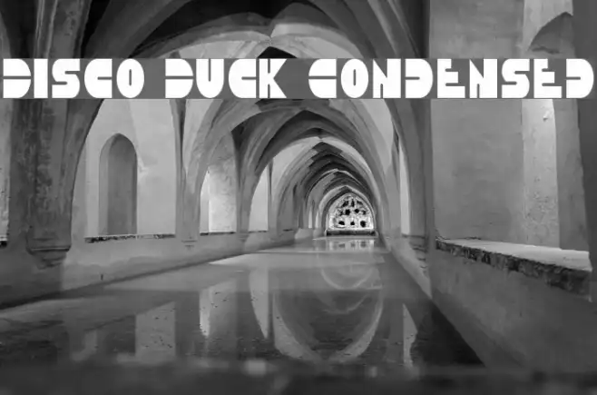 Disco Duck Condensed Example 2