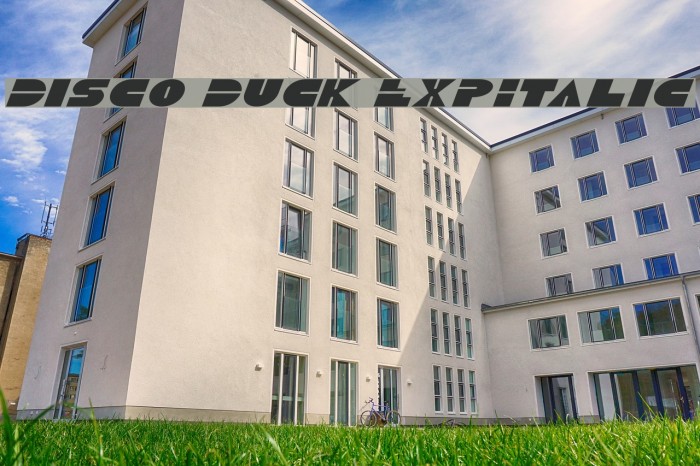 Disco Duck ExpItalic Font examples