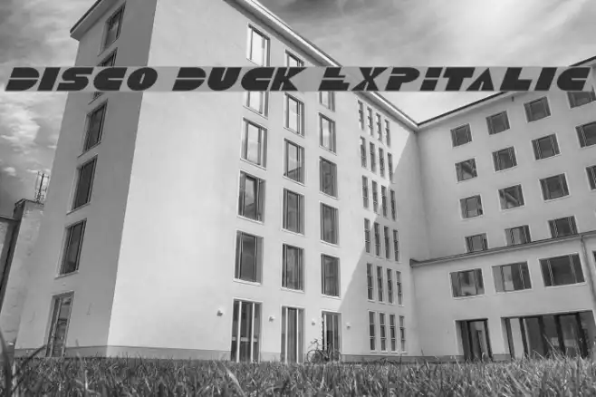 Disco Duck ExpItalic Example 2