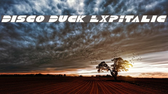 Disco Duck ExpItalic Font examples