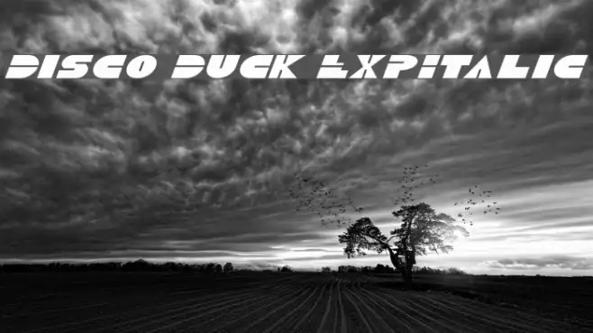 Disco Duck ExpItalic Example 3