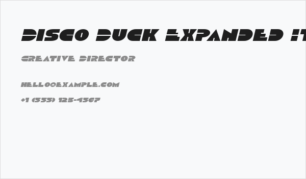 Disco Duck Expanded Italic Business Card