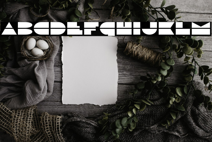 Disco Duck Expanded Example 3