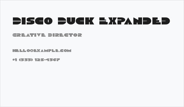Disco Duck Expanded Business Card