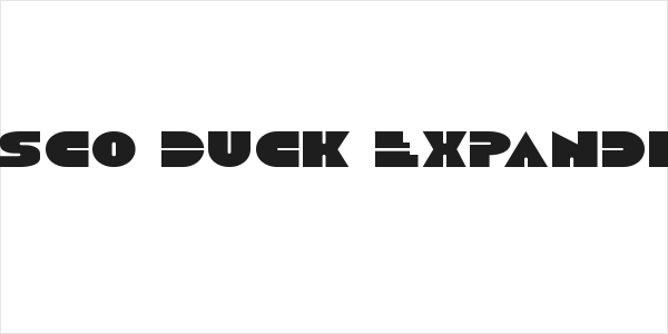 Disco Duck Expanded Logo