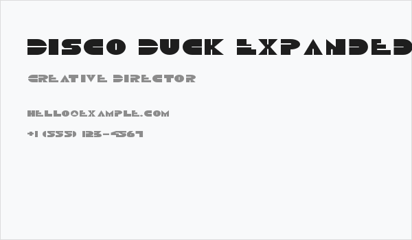 Disco Duck Expanded Business Card