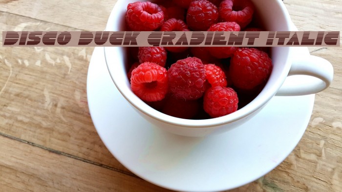 Disco Duck Gradient Italic Font examples