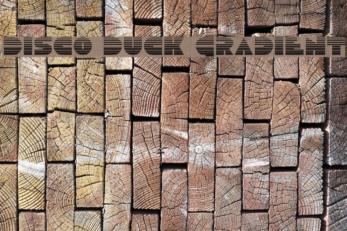 Disco Duck Gradient Font examples