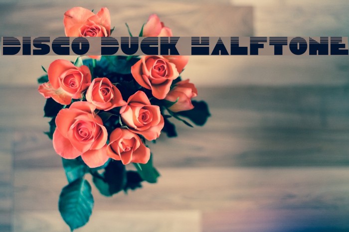 Disco Duck Halftone Example 3