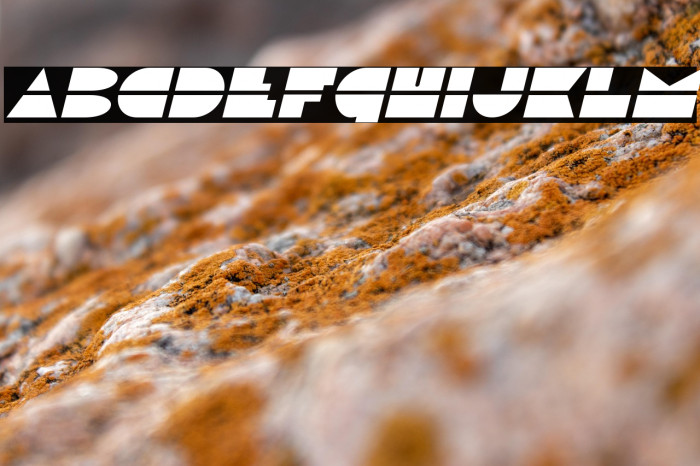 Disco Duck Italic Example 3