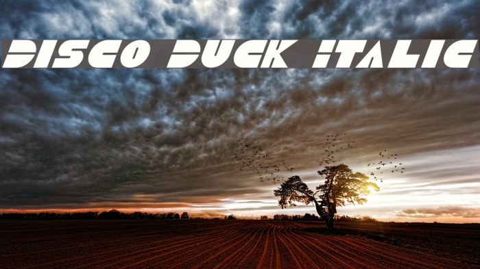 Disco Duck Italic Font examples