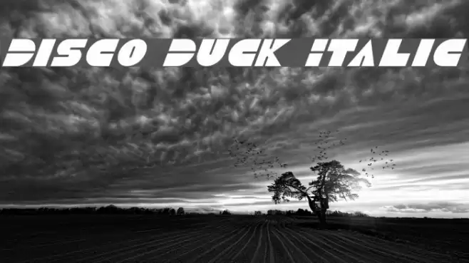 Disco Duck Italic Polices examples