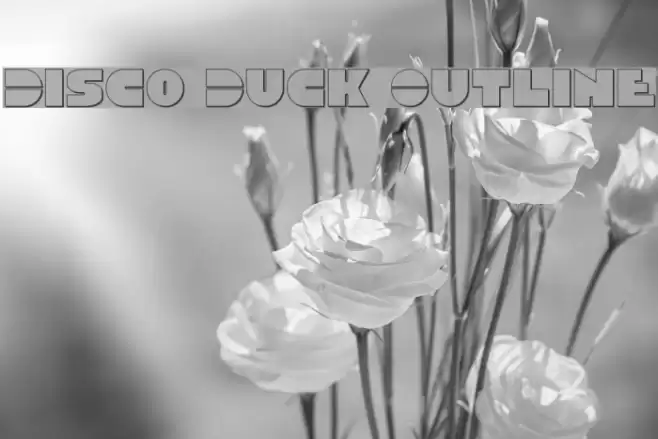 Disco Duck Outline Font examples