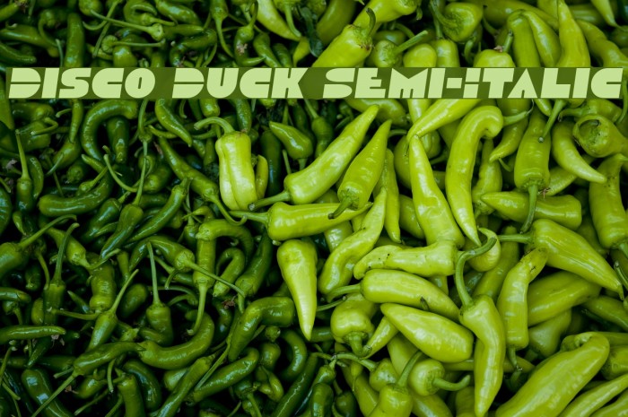 Disco Duck Semi-Italic Font examples