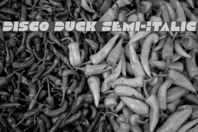 Disco Duck Semi-Italic Example 1