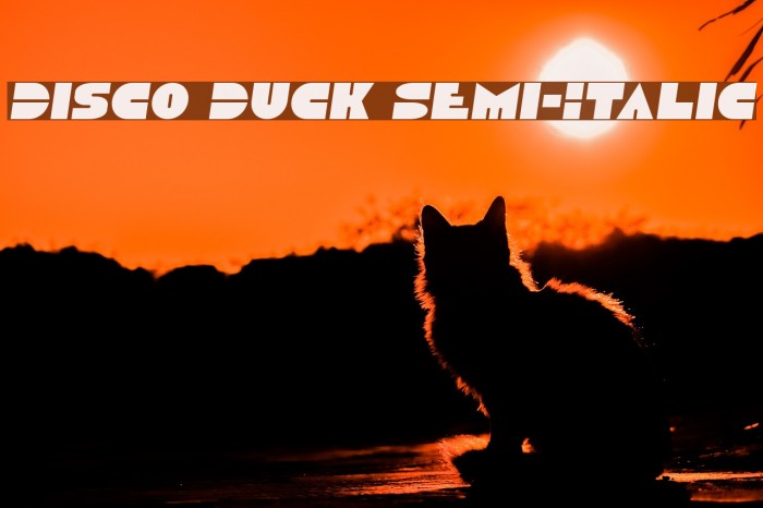 Disco Duck Semi-Italic Font examples