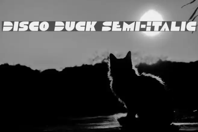 Disco Duck Semi-Italic Example 2