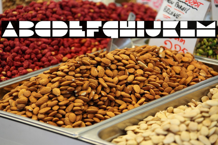 Disco Duck Example 3