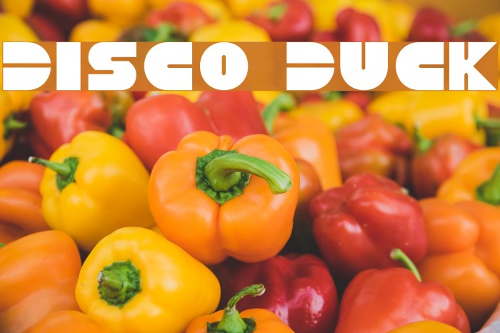 Disco Duck Example 1