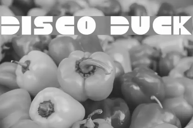 Disco Duck Font examples