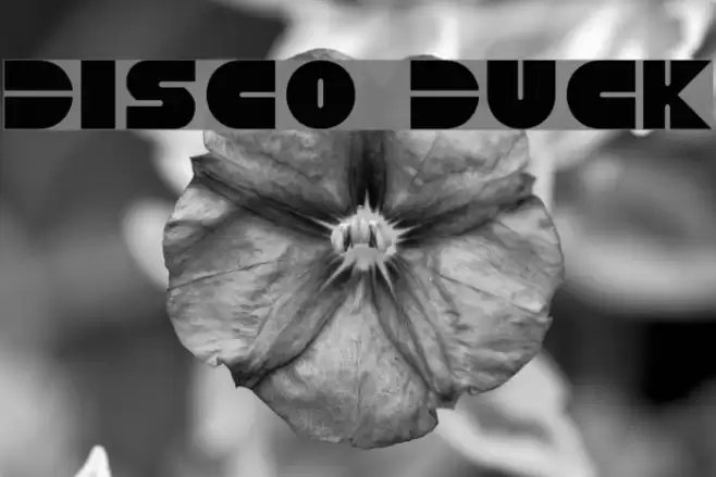 Disco Duck Font examples