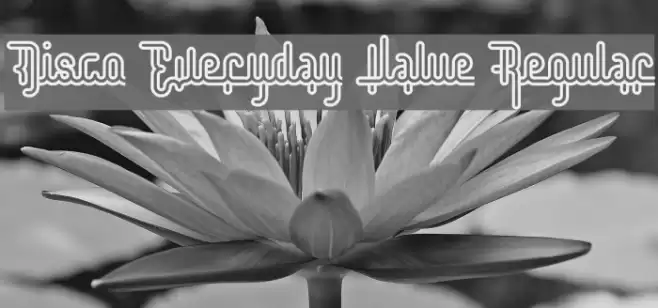 Disco Everyday Value Regular Font examples