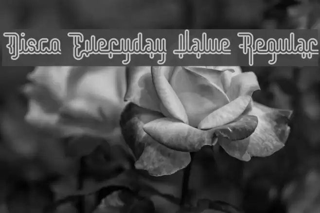 Disco Everyday Value Regular Font examples