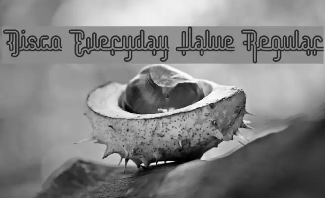 Disco Everyday Value Regular Font examples