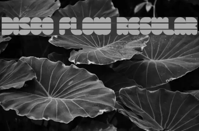 Disco Flow Regular Font examples