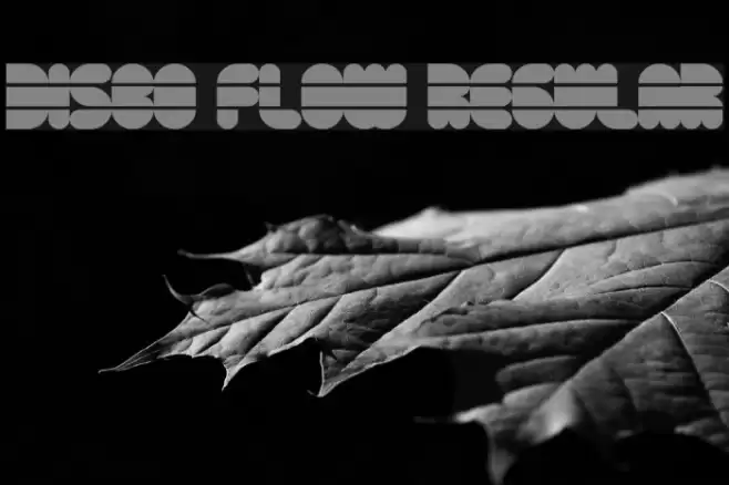Disco Flow Regular Font examples