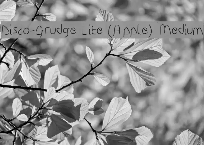 Disco-Grudge Lite (Apple) Medium フォント examples